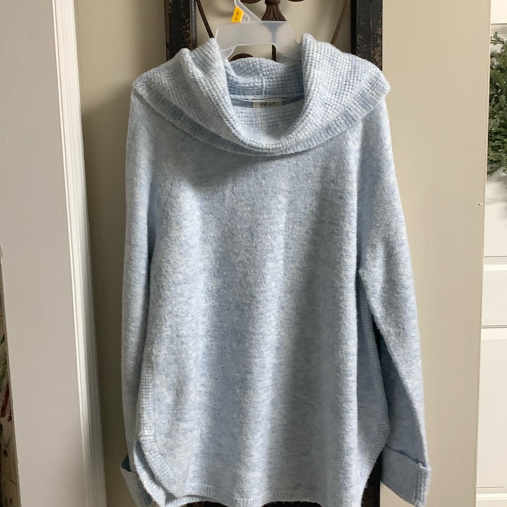 Style and Company knit sweater
